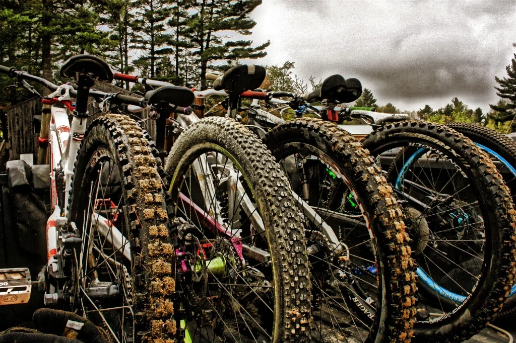 Muddy mountain bike tires lined up in a truck bed against pine trees and an overcast sky